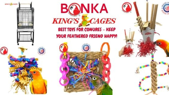 Best Toys for Conures – Keep Your Feathered Friend Happy!