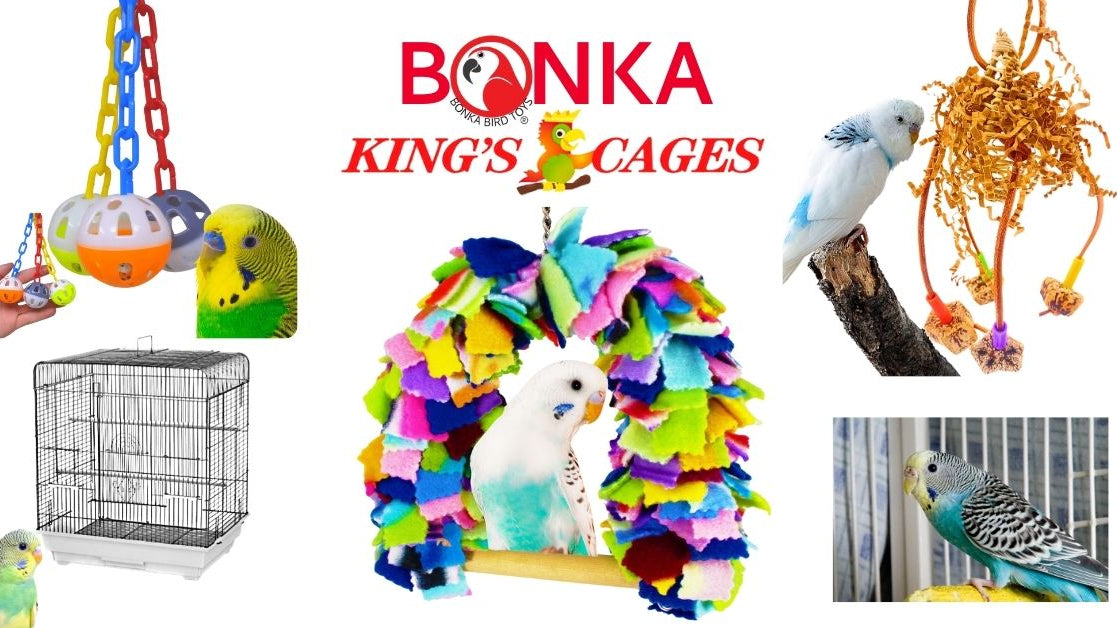 Best bird toys for budgies showcased with colorful parakeet toys and accessories for happy birds.
