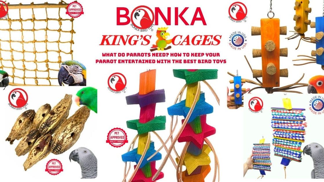 Variety of colorful bird toys showcasing the best bird toys for parrots, designed to keep your parrot entertained.