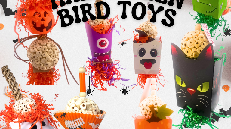 Top Halloween-Themed Bird Toys for 2024