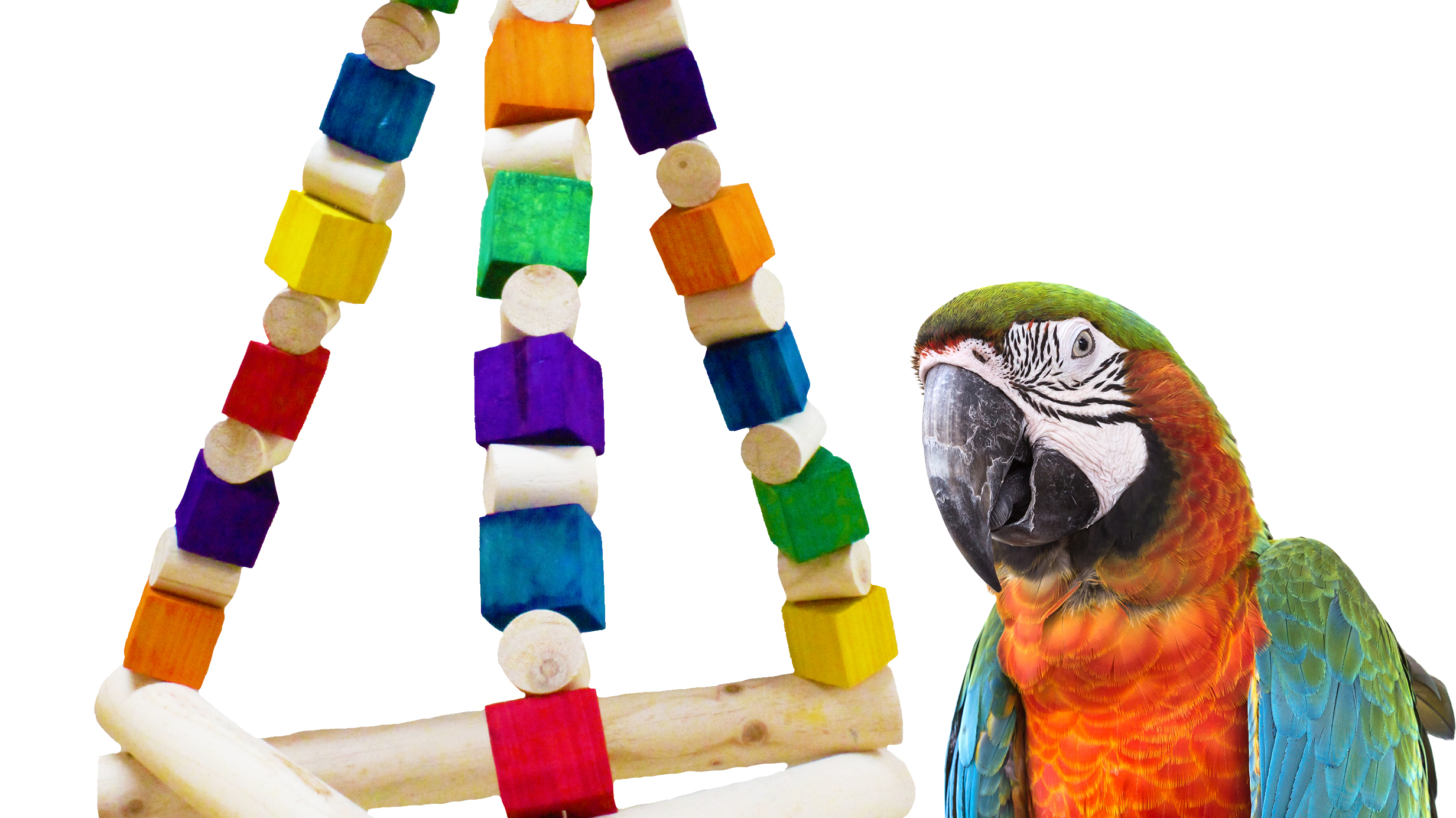 Large Bird Toys - Bonka Bird Toys from bonka bird toys featuring a colorful toy and a macaw.