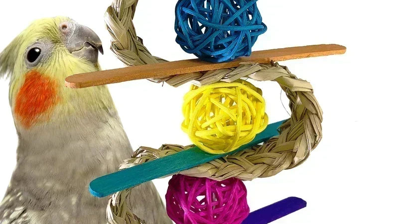What are the Best Toys for Cockatiels? - Bonka Bird Toys