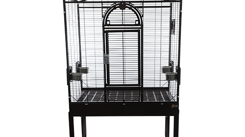 Kings Cages SLF 3221 Superior Flight Cage for My Conure?