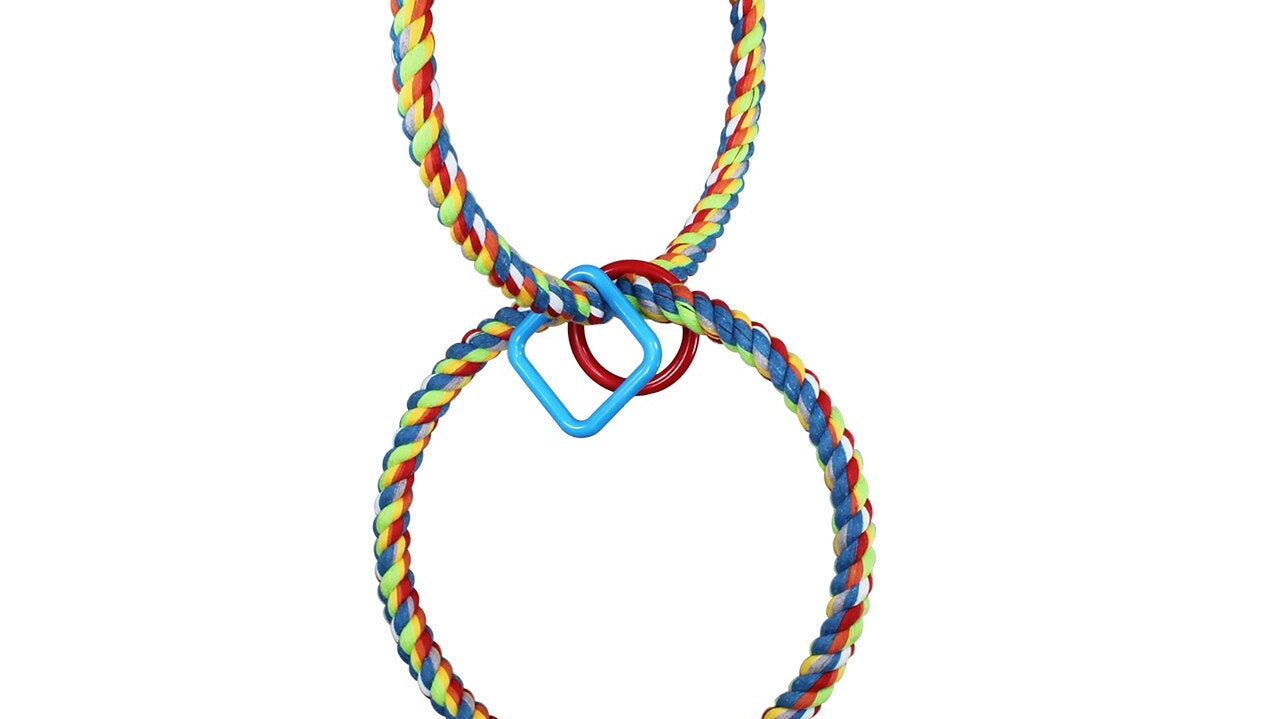 What is the 1037 Ring Ring Rope Swing?