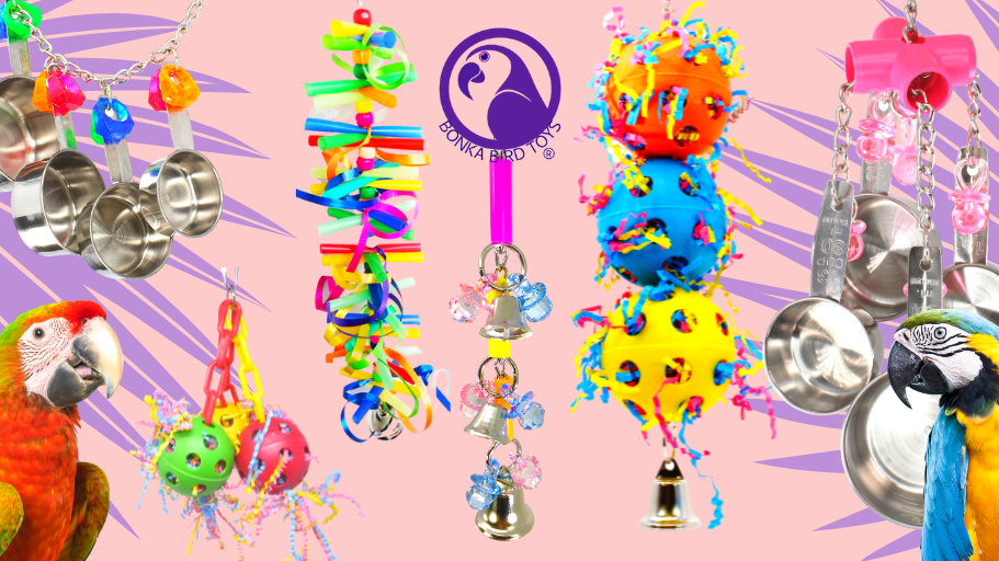 What are the Best Bonka Bird Toys?