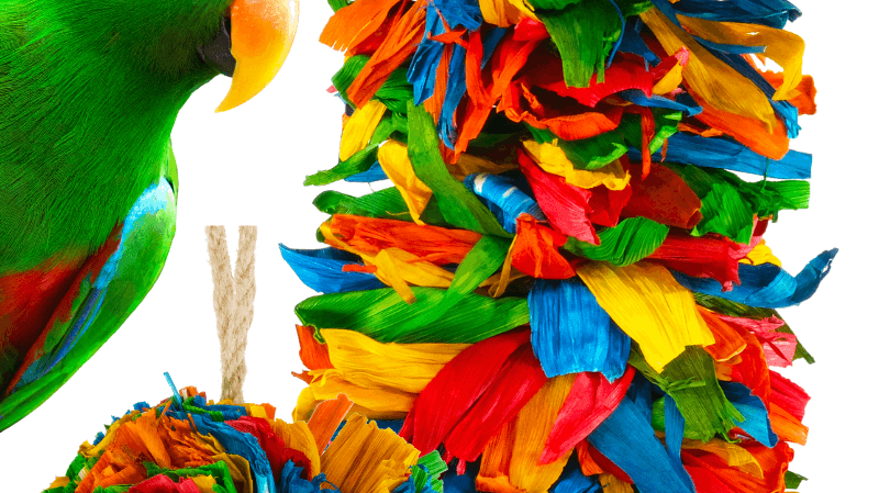 What types of toys do birds like? bonka bird toys