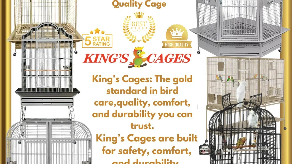 The Ultimate Guide to Choosing the Best Bird Cage: Why King’s Cages Stand Above the Rest