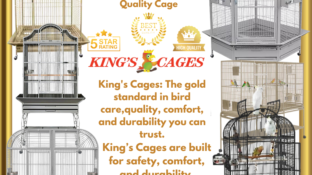 best bird cages by King's Cages showcase quality and durability for your avian friends.