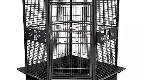 Kings Cages GC 14022 Corner Cage A Good Option for a Caique