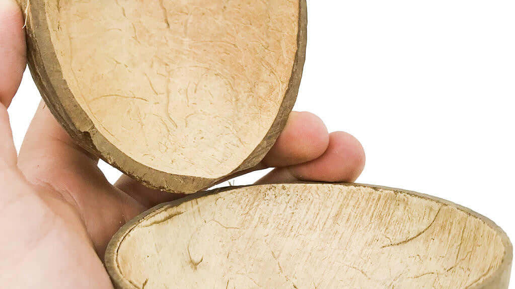 What Is a Good Coconut Bowl for Birds?