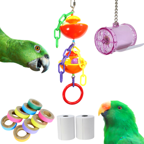 Paper and Parrots bonka bird toy toys shred