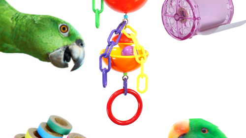 Paper and Parrots bonka bird toy toys shred