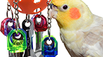 What is a fun medium Spoon bird toy from Bonka?