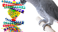 Best bird toys Bonka interactive toy for parrots, a colorful engagement for your pet.