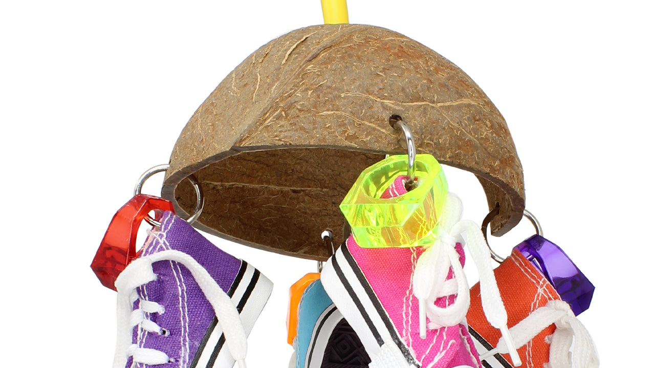 What is the 1504 Coco Sneaker?