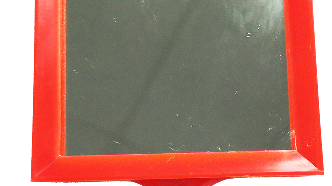 Do Budgies Need Toys?