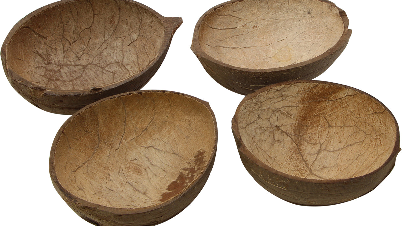 Do Pet Birds Like Natural Coconut Shells?
