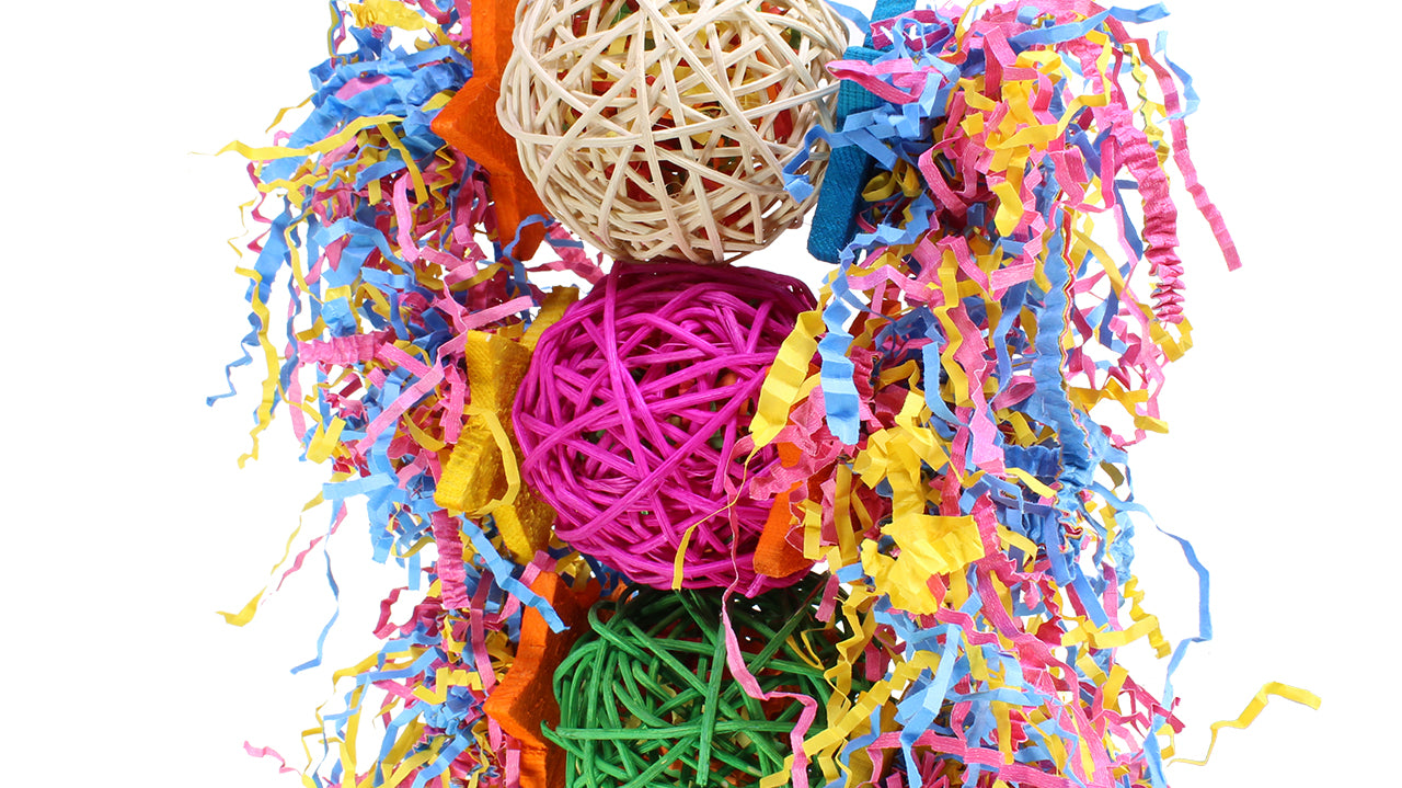 What are Some Great Foraging Star Toys?