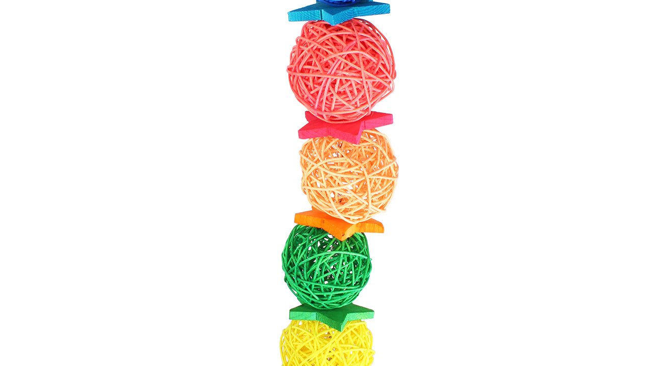 What is the 3567 Huge Foraging Chewy Star?