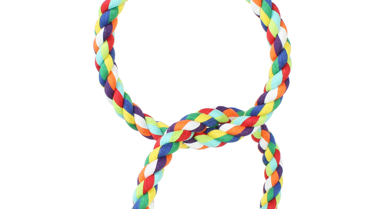 Do Pet Birds Like Rainbow Cotton Rope Ring Toys?