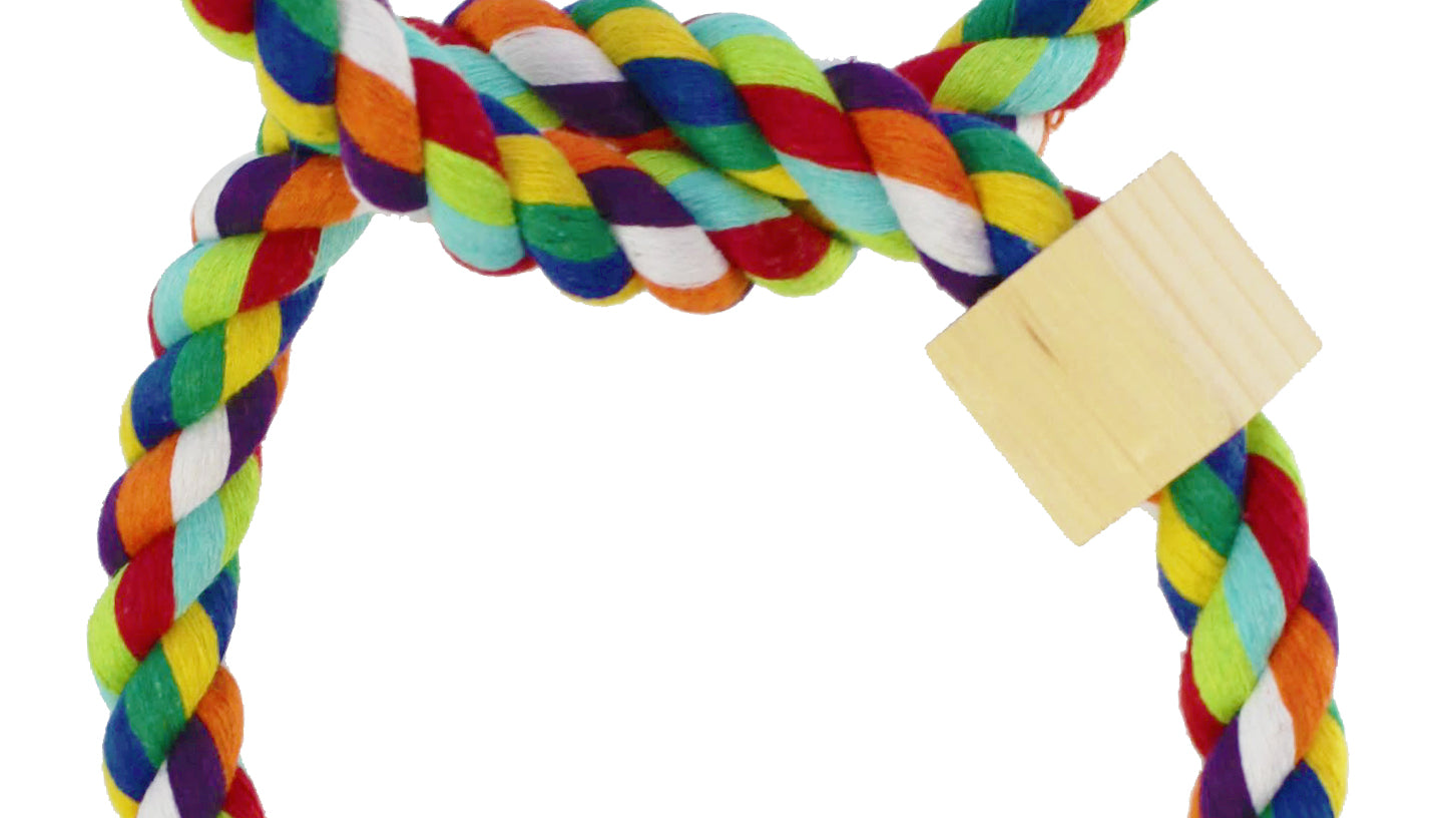 What is the 1678 Tri Rainbow Ring?