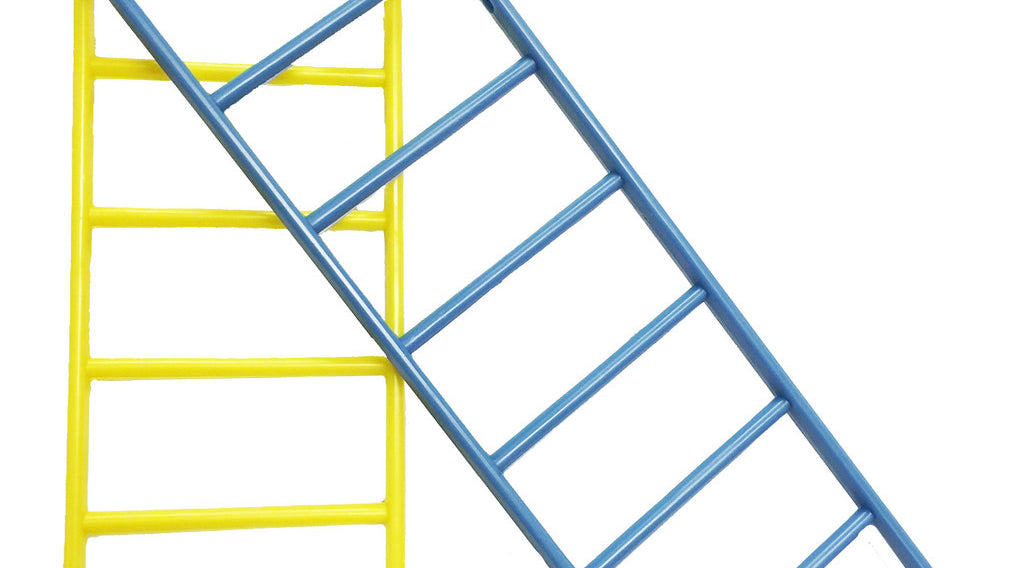 What are Parakeets Favorite Toys?