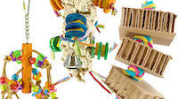 What are great parrot toys for pet birds?