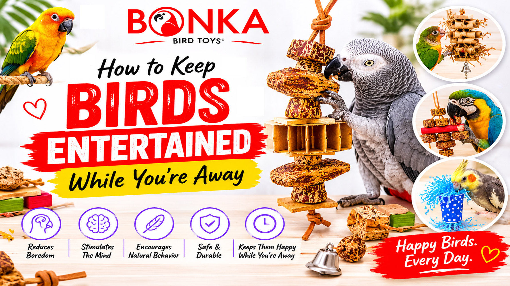 Colorful birds playing with toys for keeping birds entertained while away.