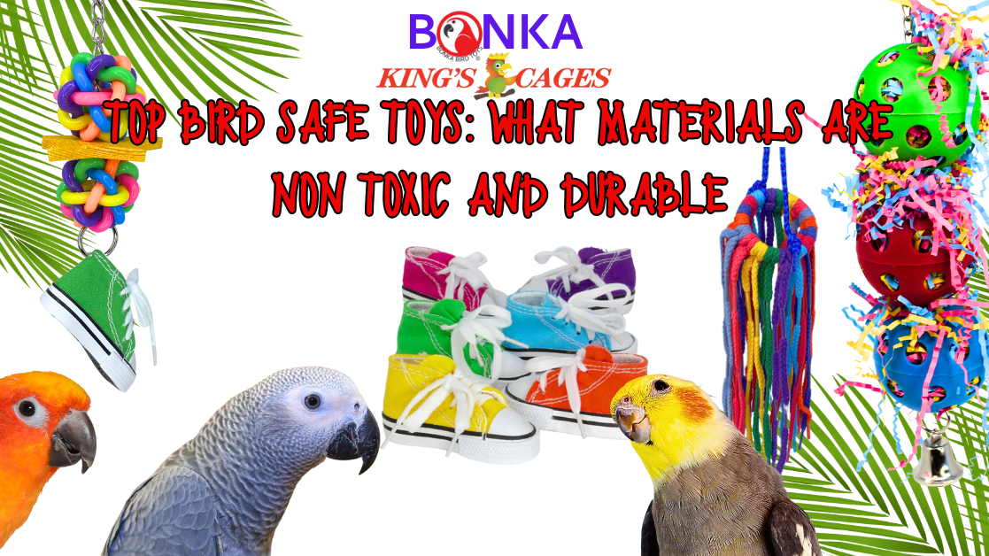 Colorful birds with toys featured in article about Top Bird-Safe Toys, focusing on non-toxic and durable materials.
