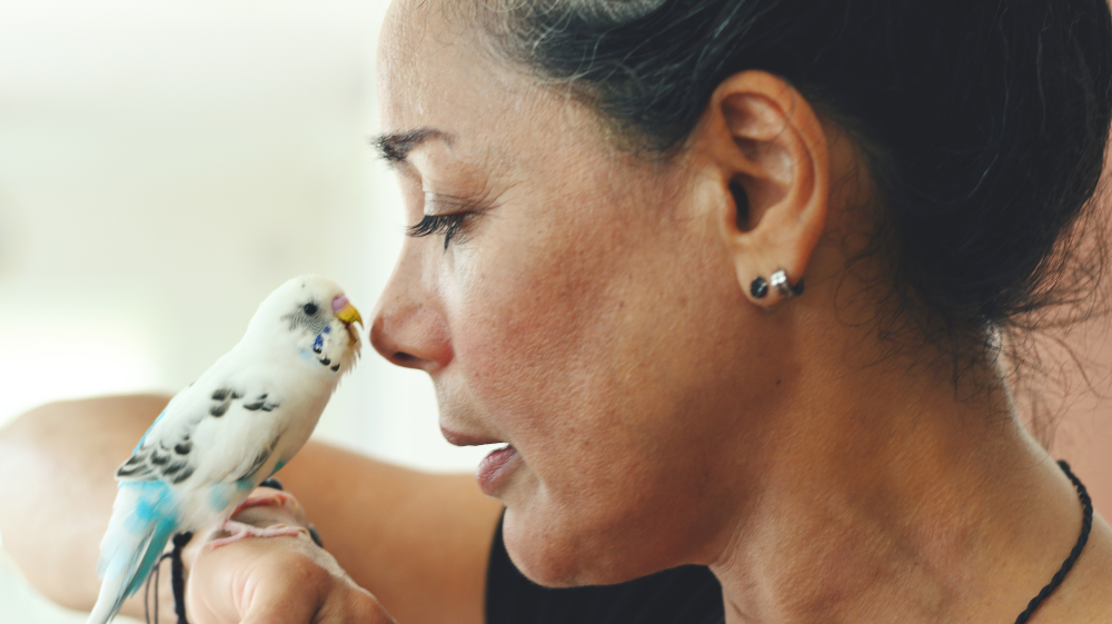 woman interacting with her pet bird, emphasizing the importance of buying toys for pet birds.