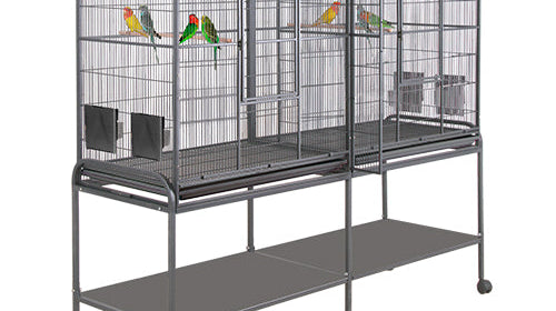 Is The Kings Cages SLF 6421 Cage Suitable for a Canary?
