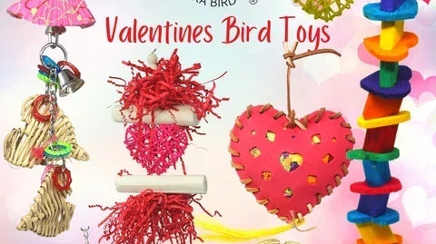 Valentines Bird Toys
