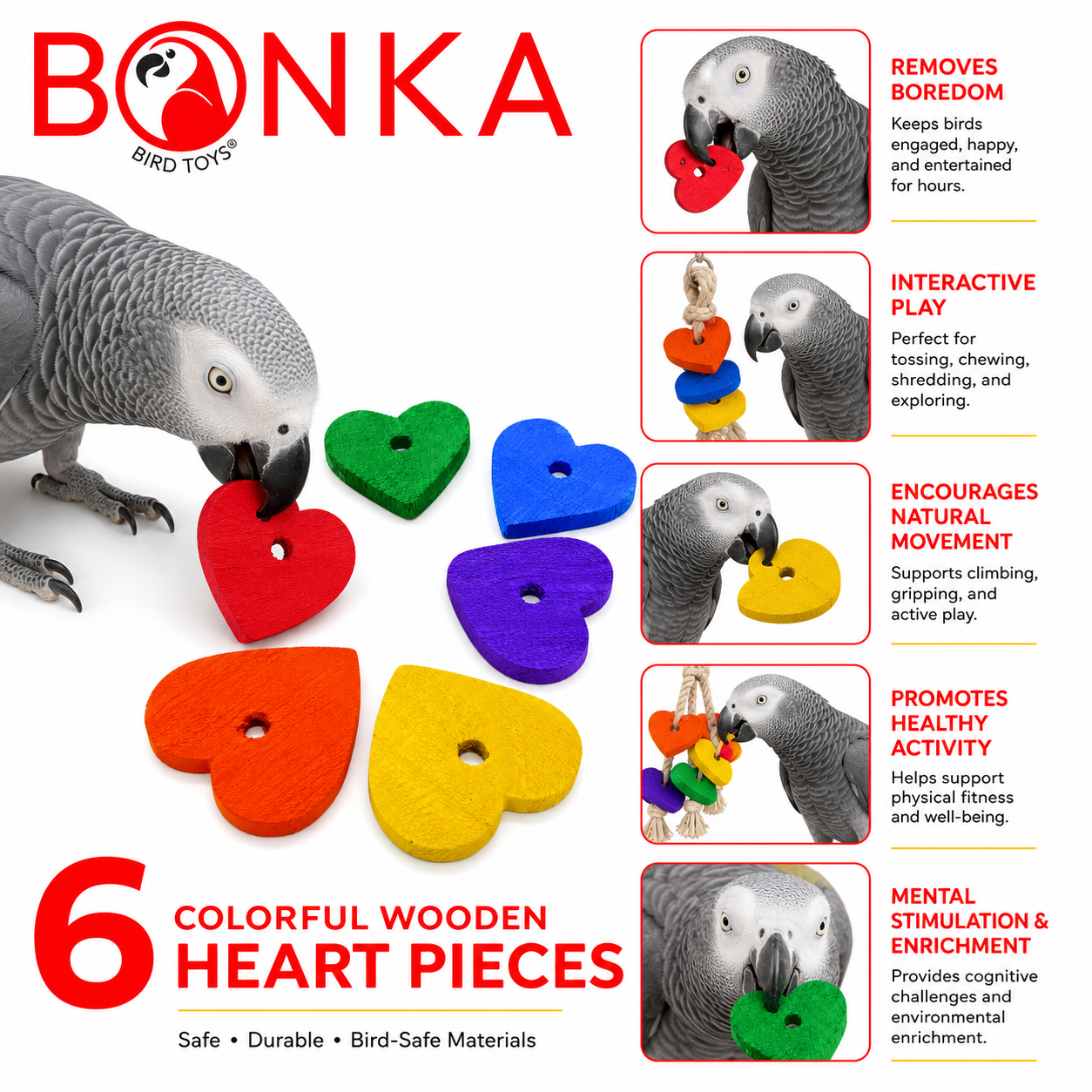 African Grey parrot chewing colorful wooden heart bird toy pieces for enrichment and mental stimulation