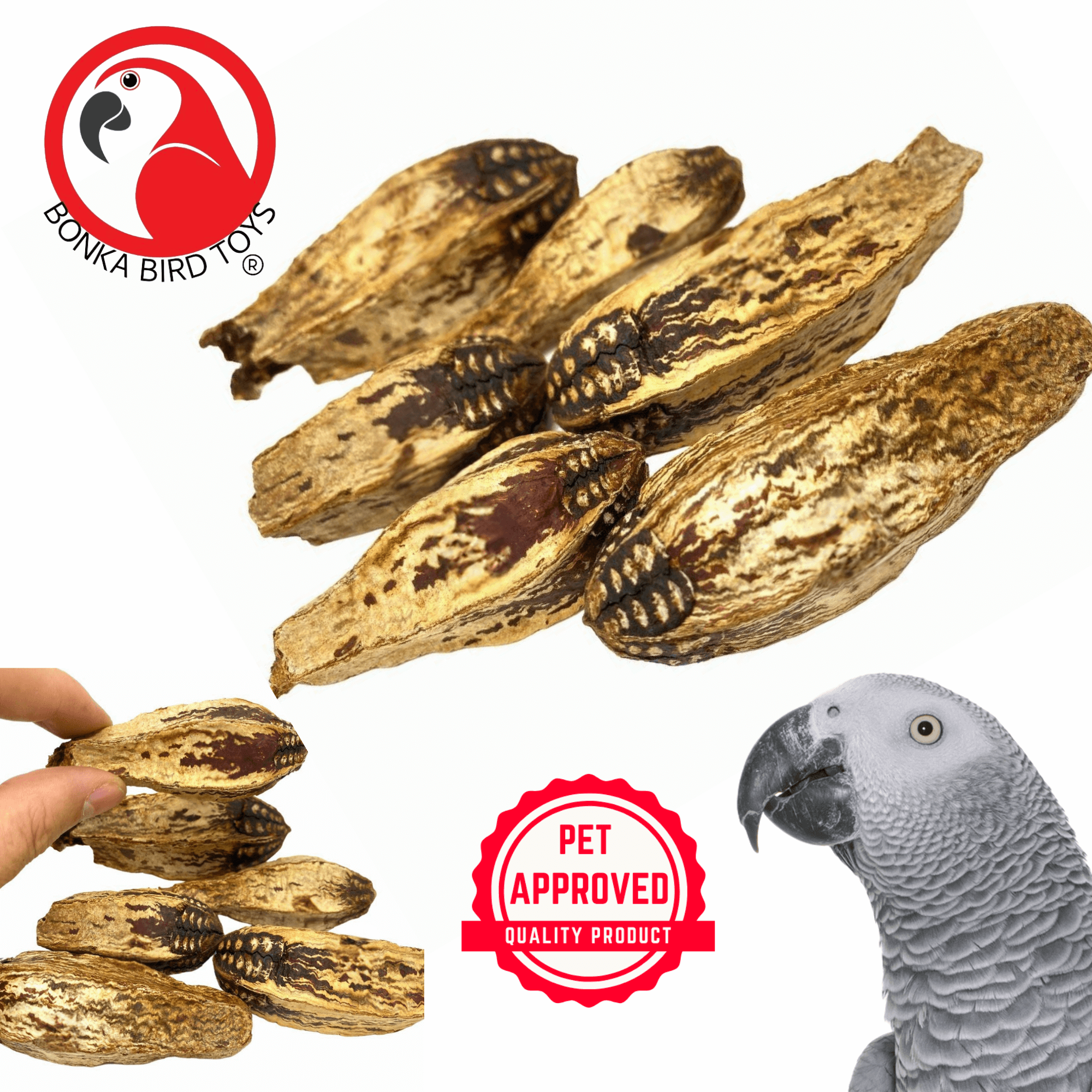 2449 Pk6 Mahogany Pods - Bonka Bird Toys