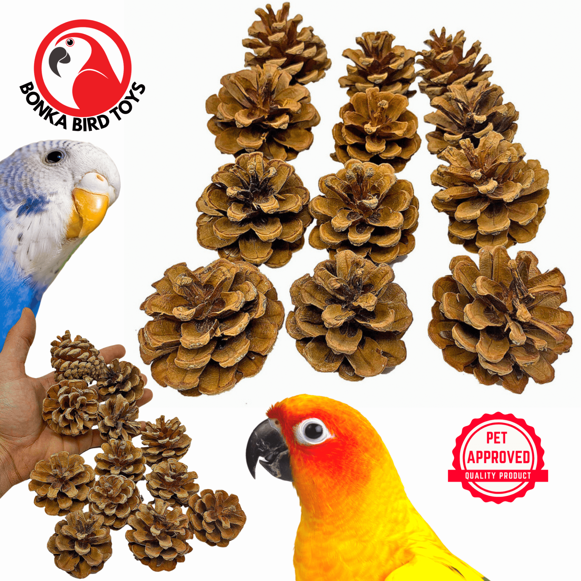 3284 Pk12 Natural Pinecones - Bonka Bird Toys