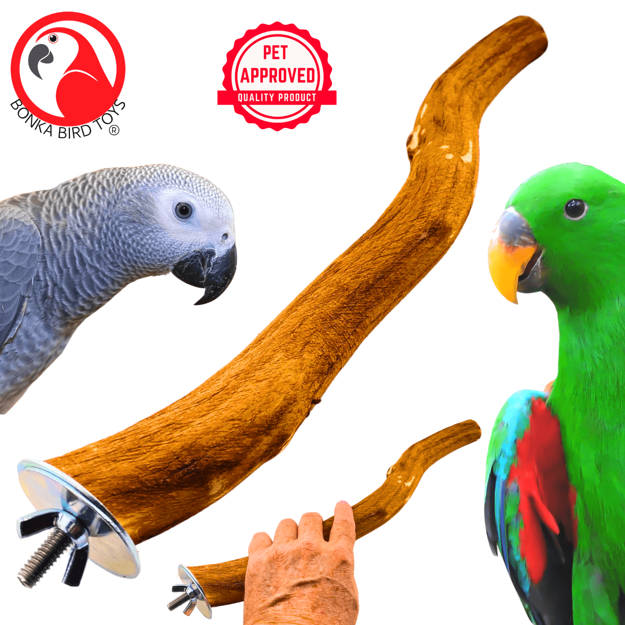 3651 Dragonwood Perch - Bonka Bird Toys