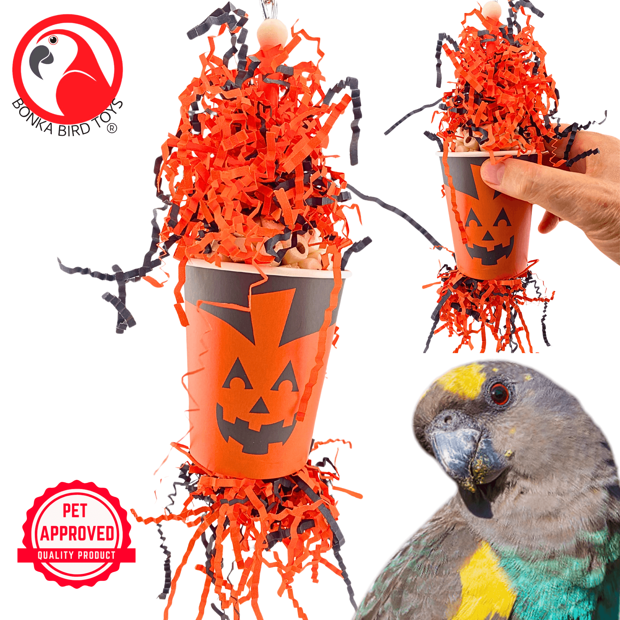 2869 Pumpkin Forager - Bonka Bird Toys