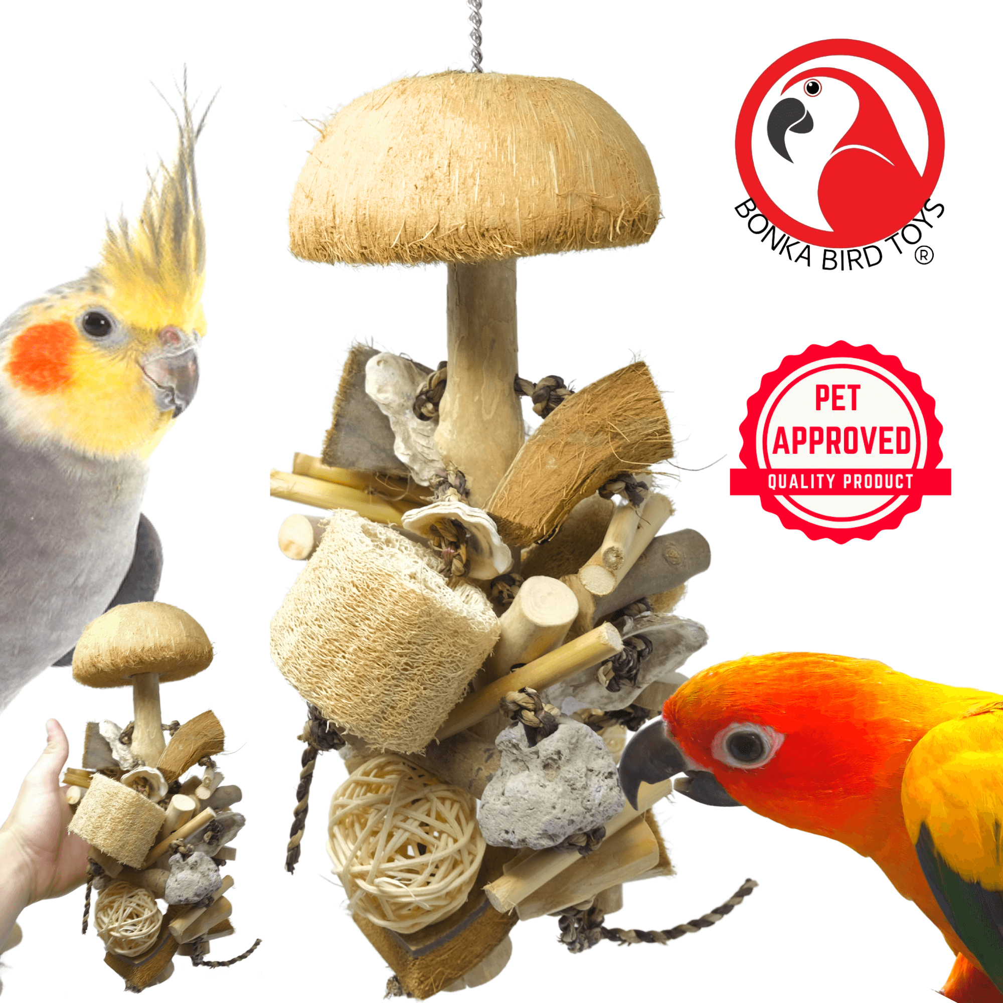 2668 Small Coco Loco - Bonka Bird Toys