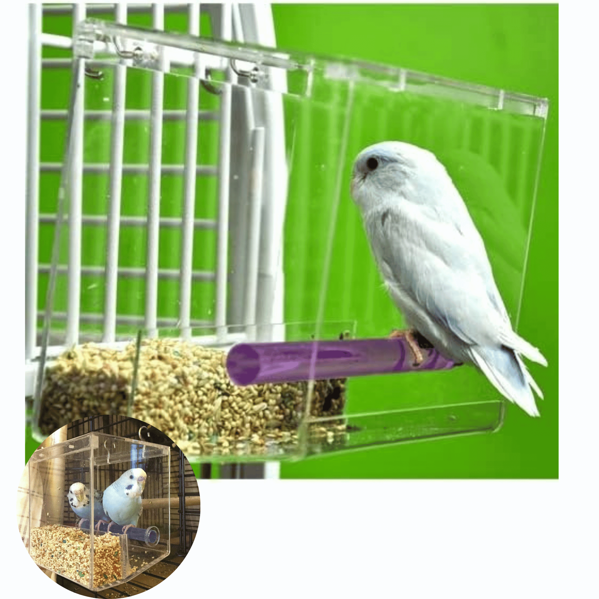 Small Tweeky Clean Tidy Bird Feeder - Bonka Bird Toys