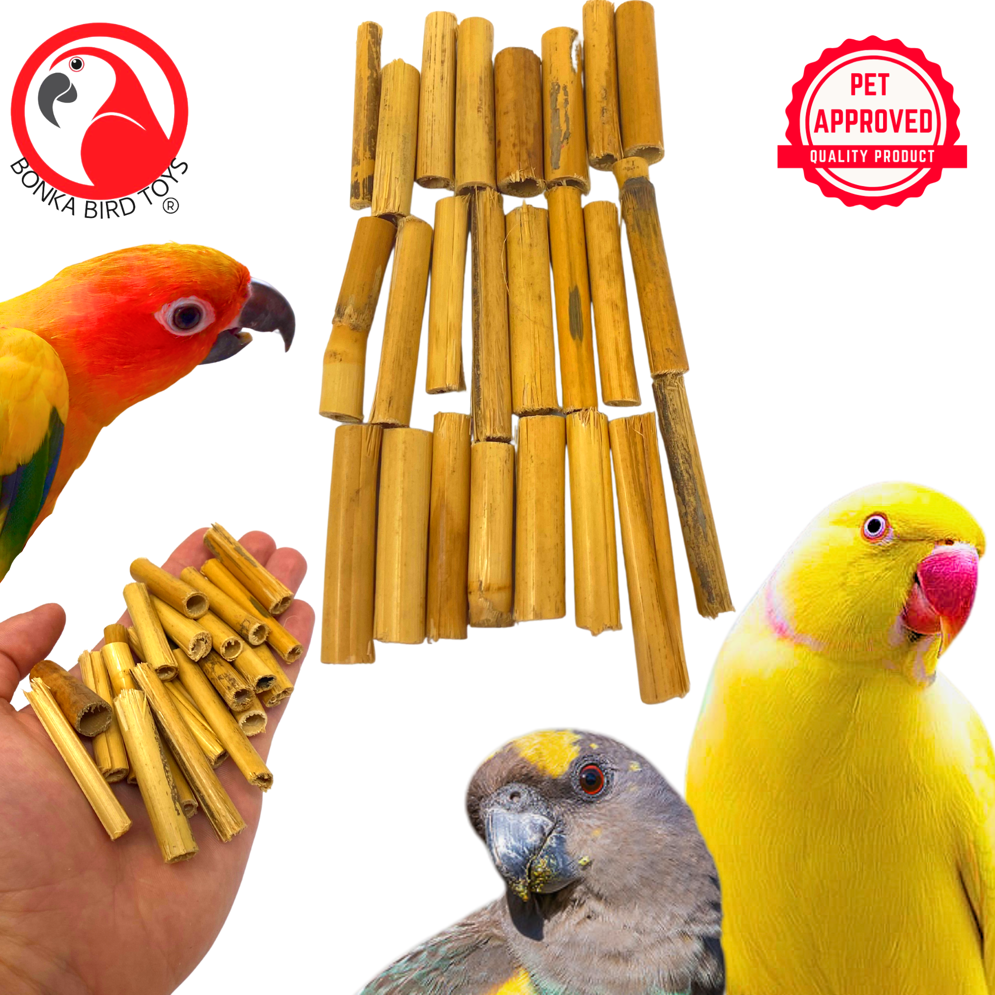2941 Pk24 Bamboo Sticks - Bonka Bird Toys