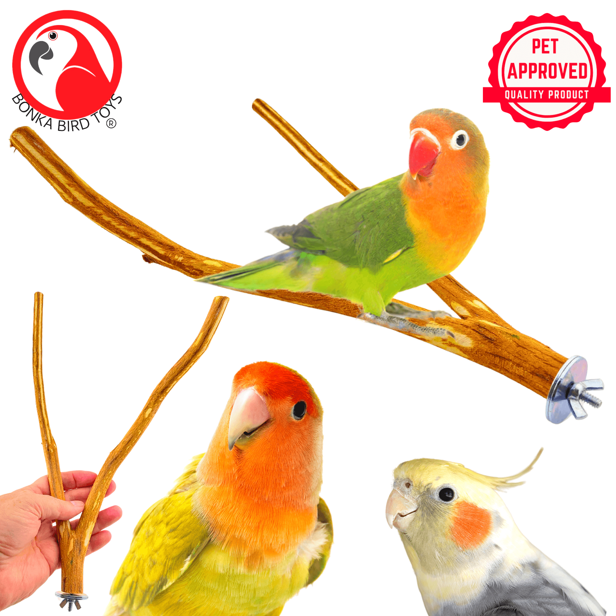 2970 Dragonwood Multi Perch - Bonka Bird Toys