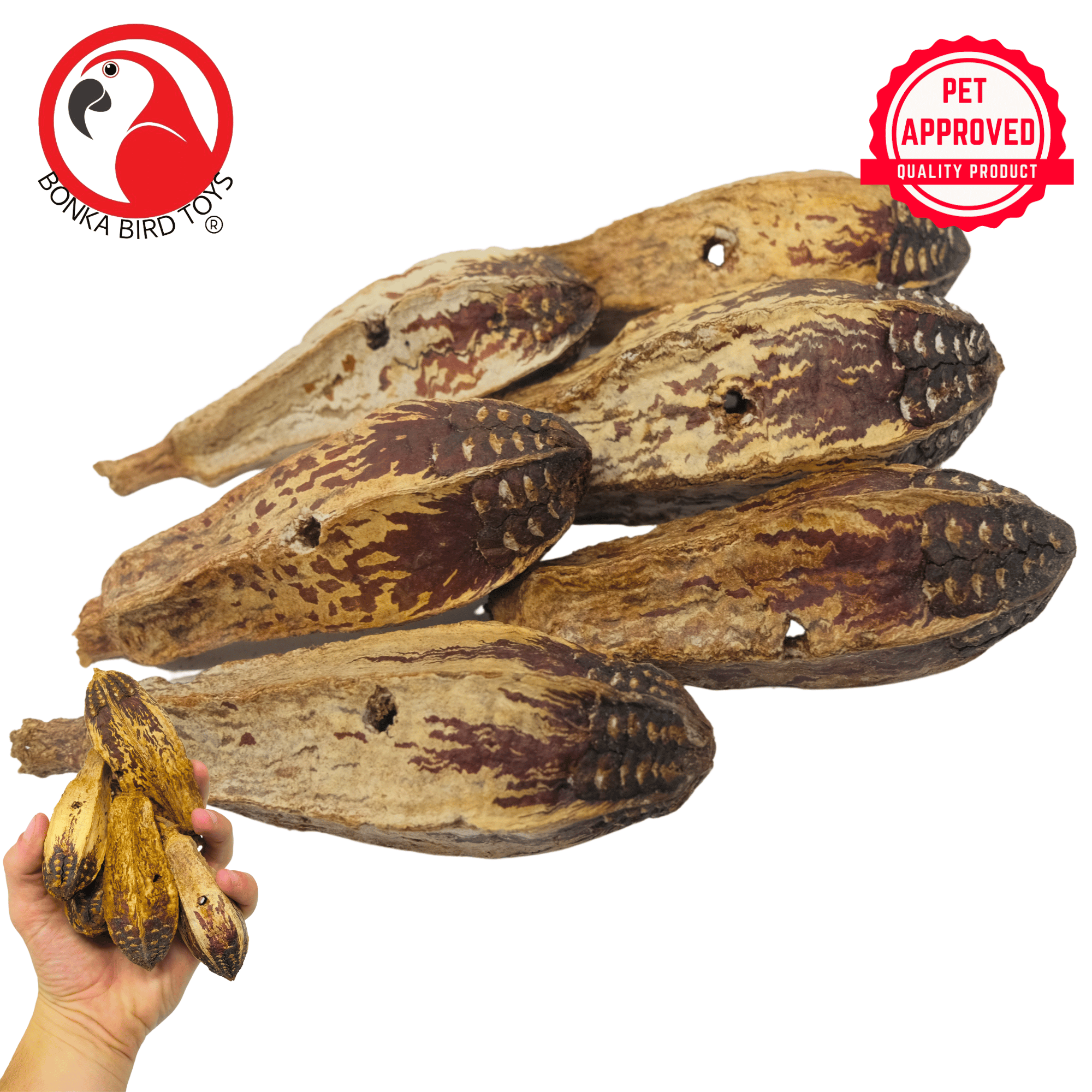 3410 Pk6 Drilled Mahogany Pods - Bonka Bird Toys