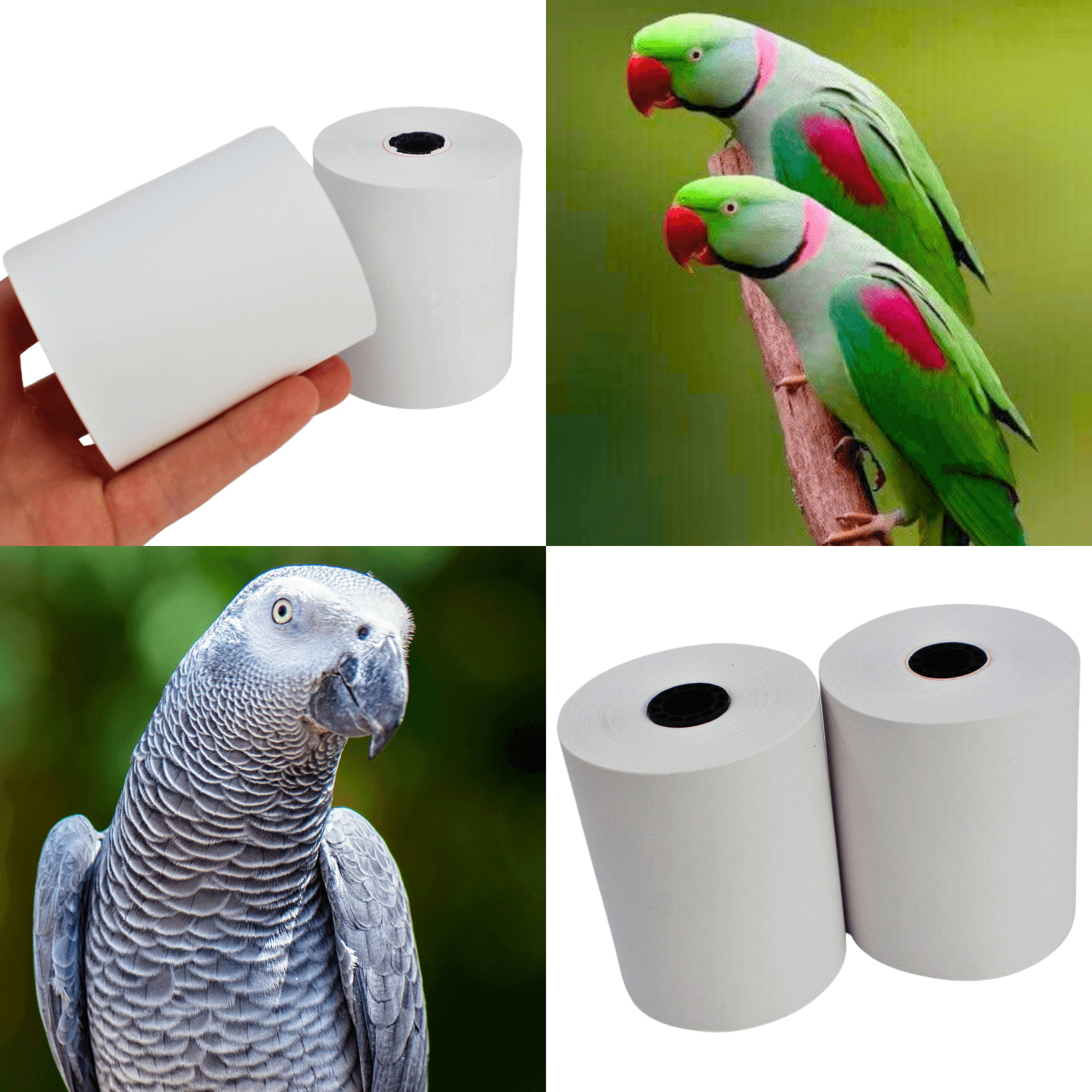 3135 2pk Large Shredmaster Refill 0037 - Bonka Bird Toys