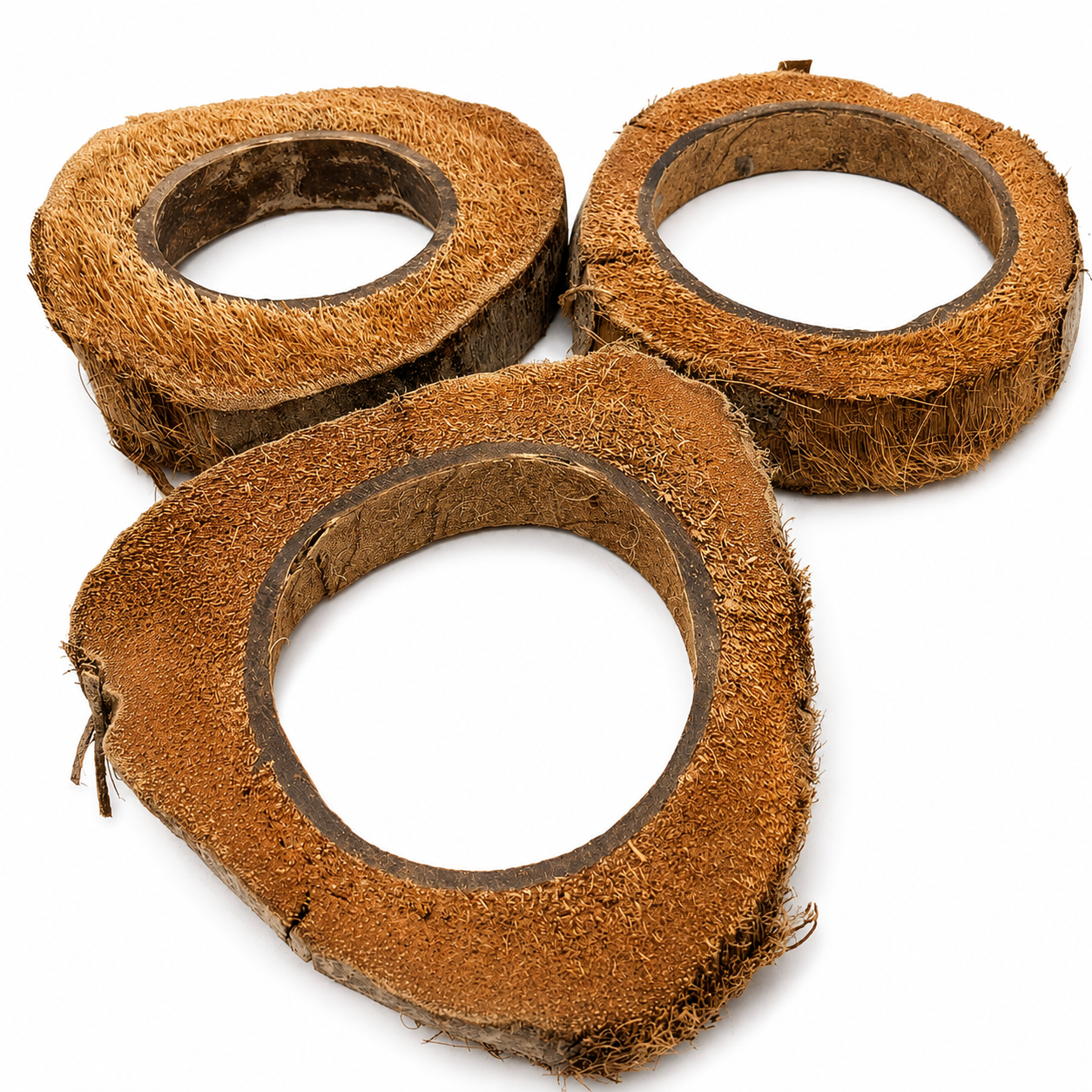 Natural coconut fiber bird toy rings for parrot enrichment and chewing