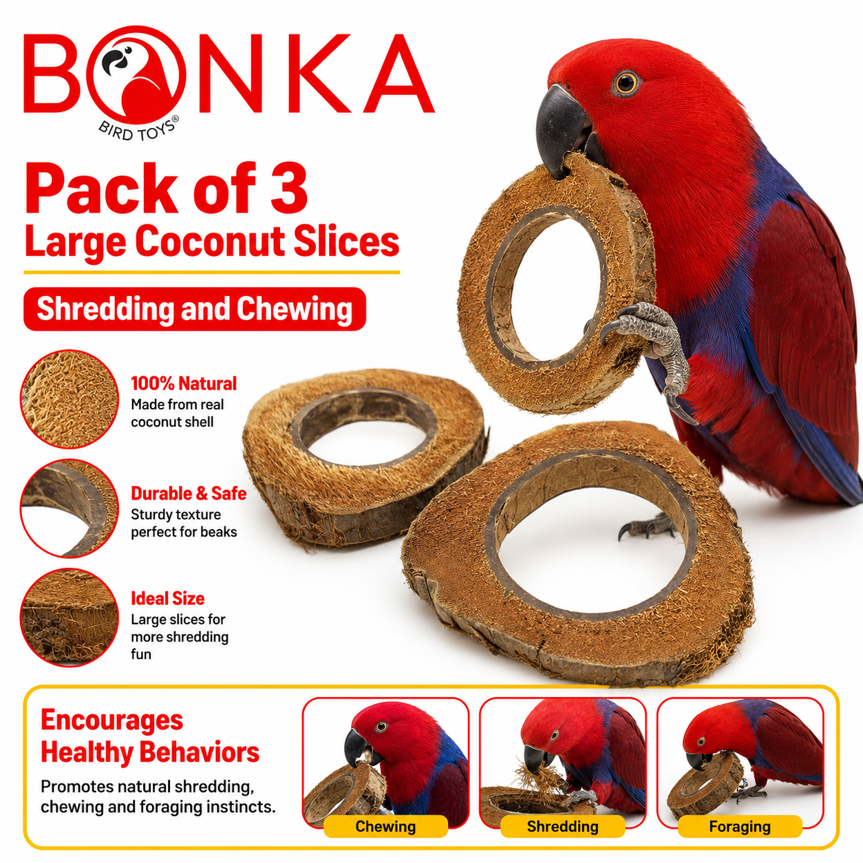 Red parrot chewing large natural coconut slice bird toy for shredding and foraging enrichment