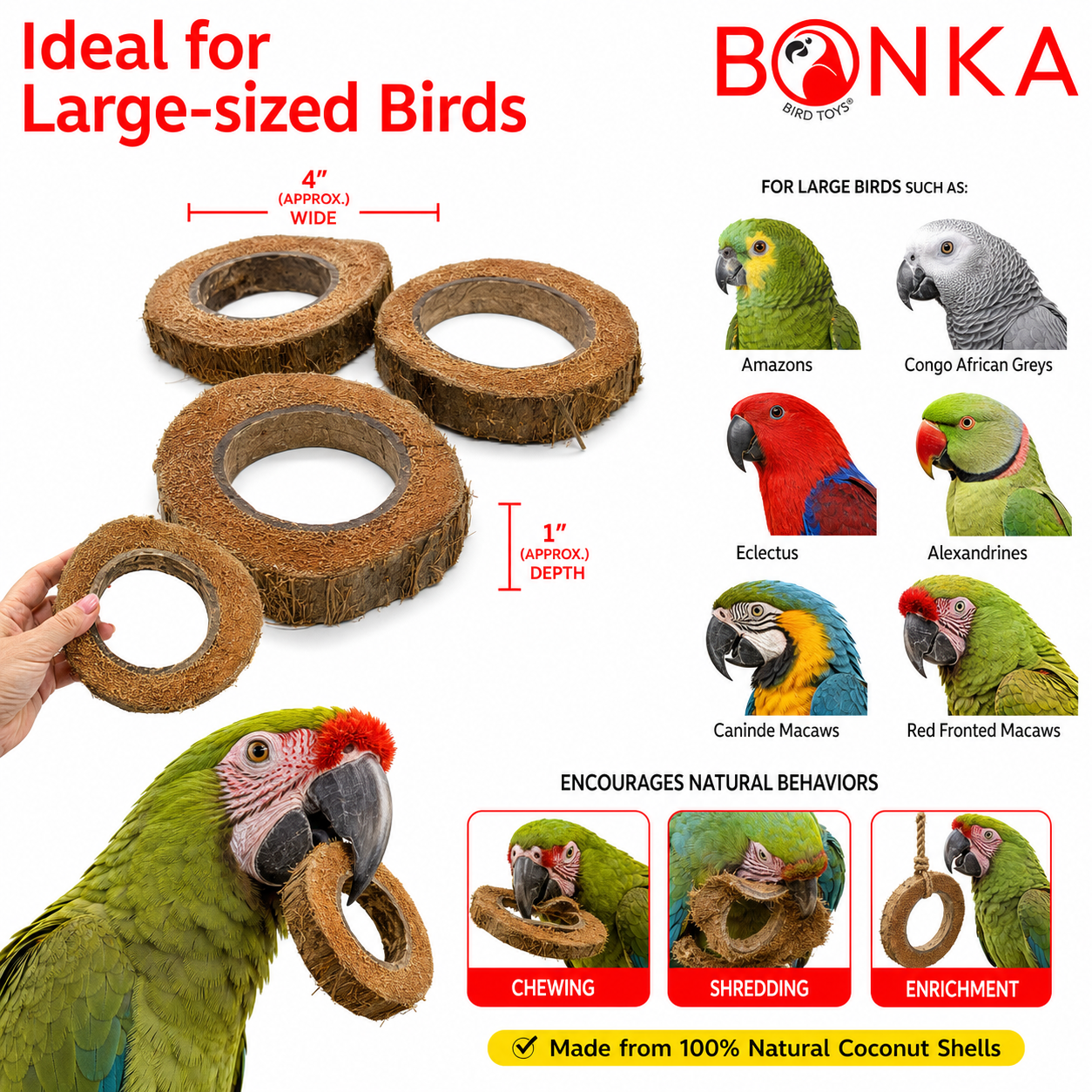 Natural coconut shell bird toy rings for large parrots, encouraging chewing, shredding, and enrichment