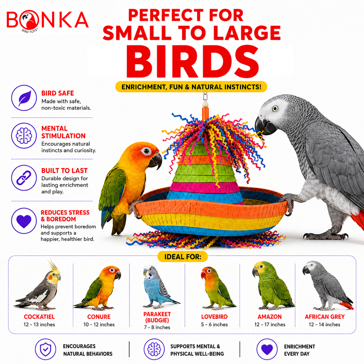 2198 Pinata Hat - Bonka Bird Toys
