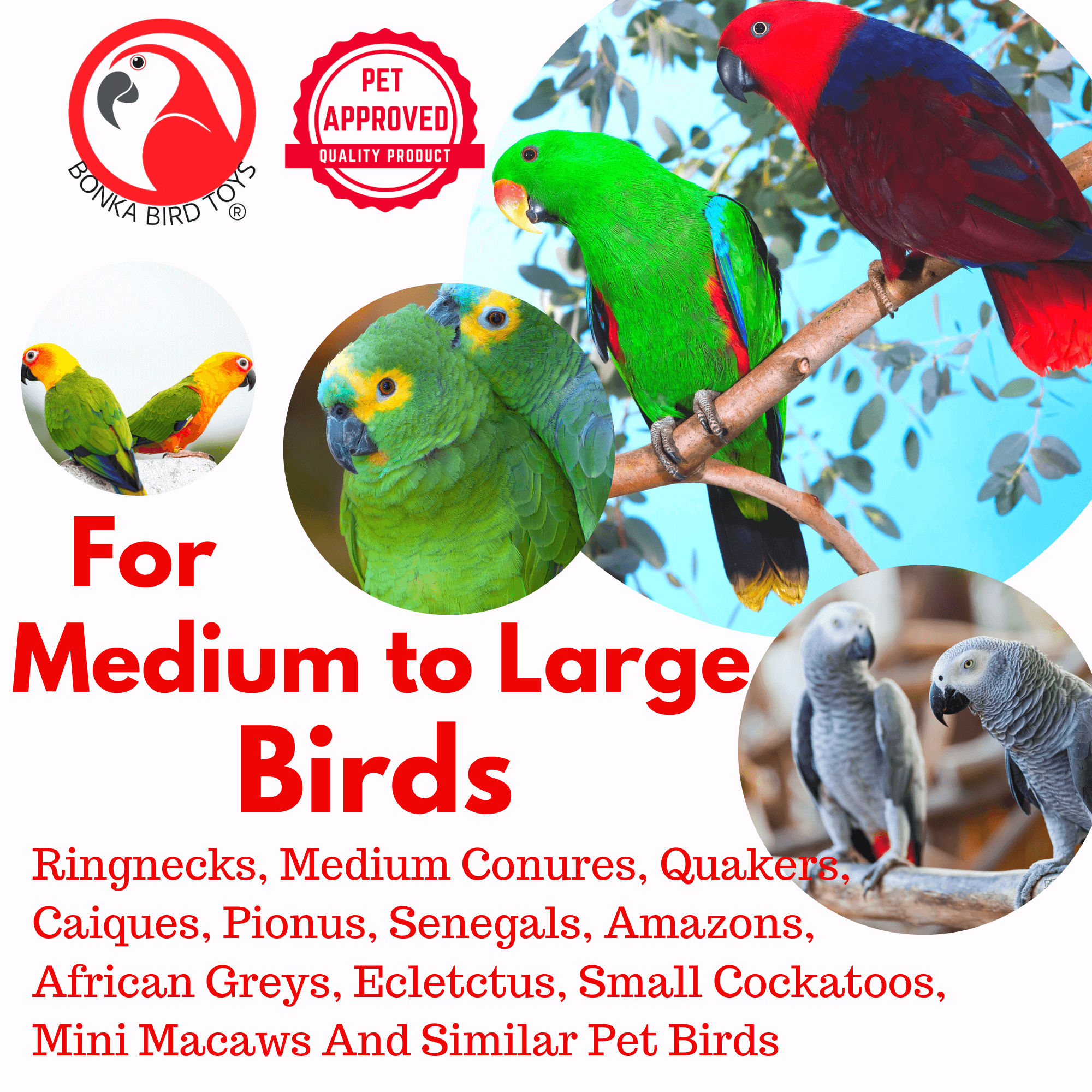 2668 Small Coco Loco - Bonka Bird Toys