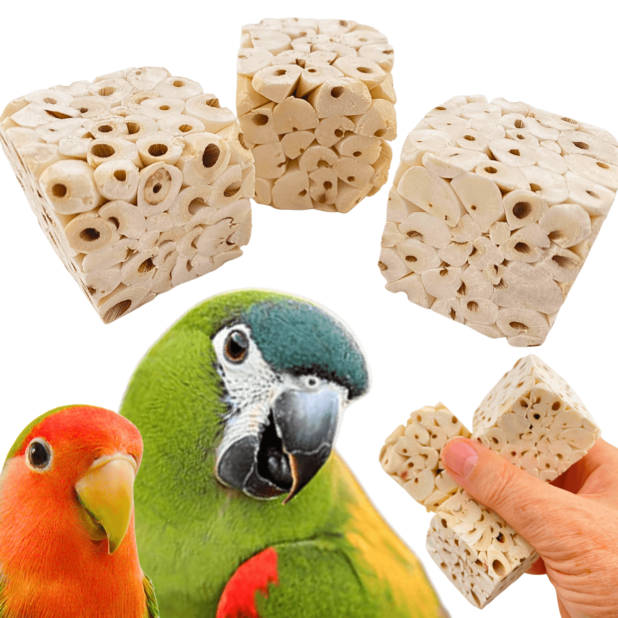 Small Sola Cubes - Bonka Bird Toys