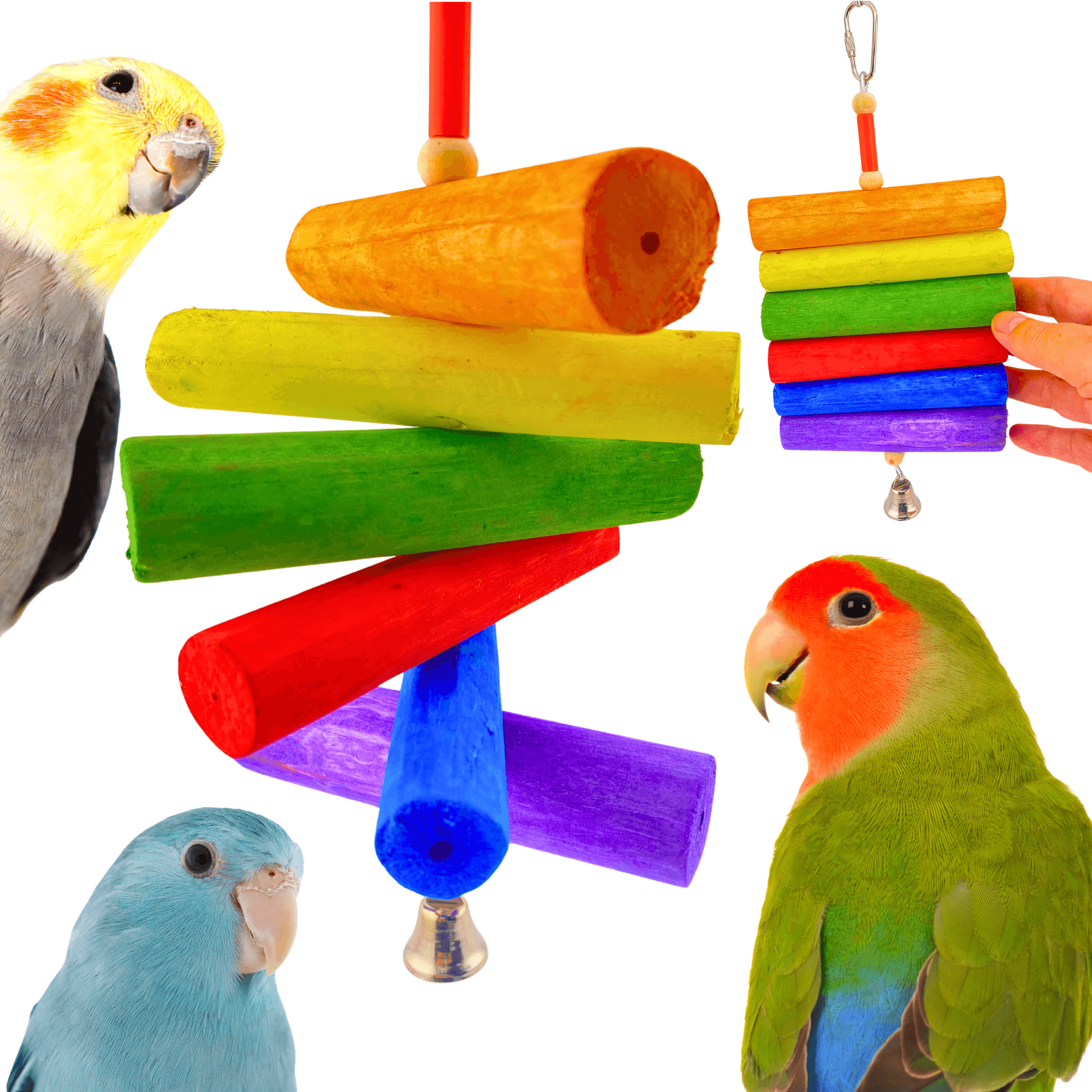 2036 Rainbow Sola - Bonka Bird Toys
